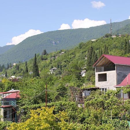 Guest House Zvanba Gagra Exterior foto